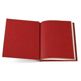 Подарочная книга в кожаном переплёте «Конституция РФ»